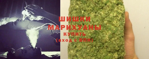 прущие грибы Арсеньев