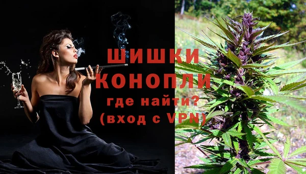 прущие грибы Арсеньев