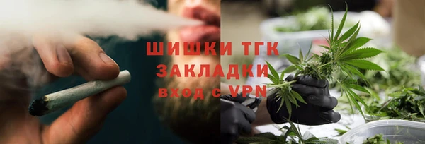 прущие грибы Арсеньев