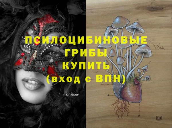 2c-b Аркадак